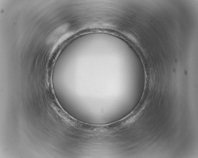 X0000052650974200507221837