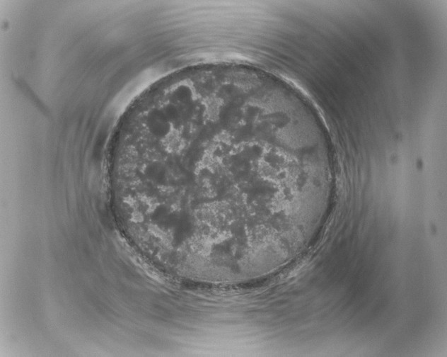 X0000052650975200507221837