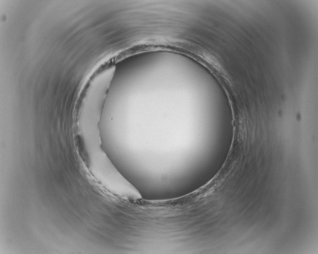 X0000052650976200507221837