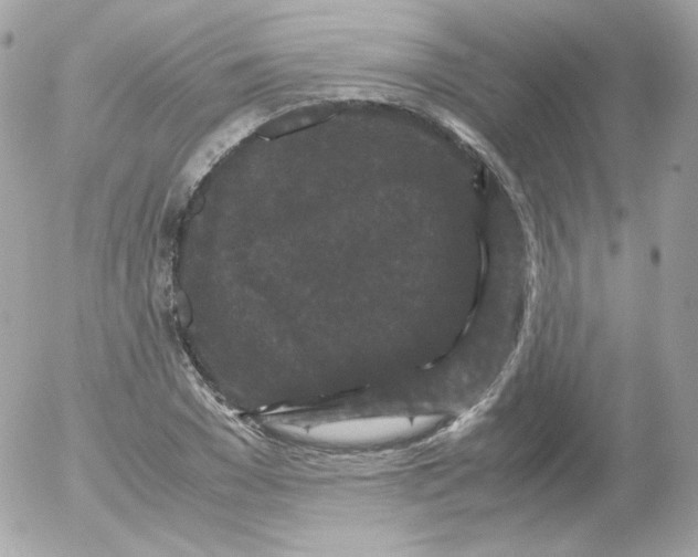 X0000052650977200507221837