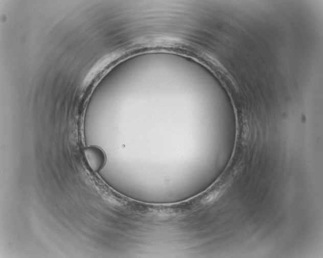 X0000052650978200507221837