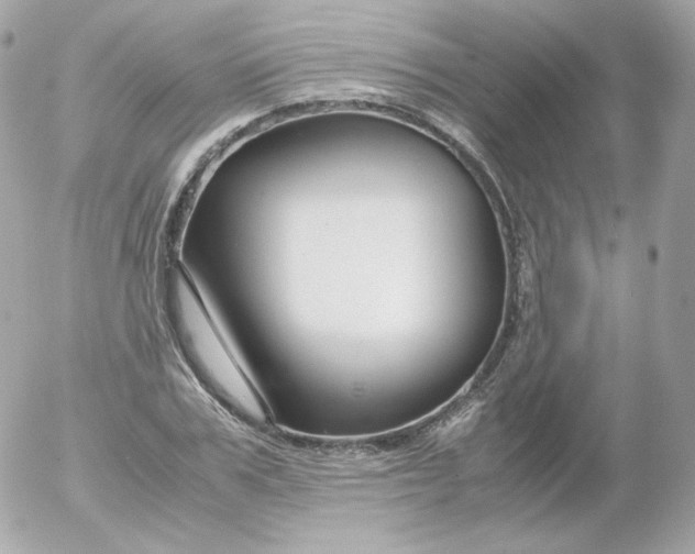 X0000052650979200507221837