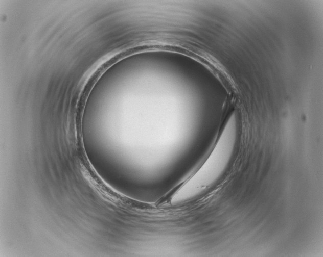 X0000052650980200507221837