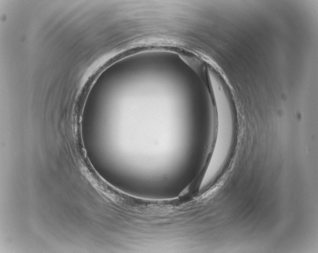 X0000052650981200507221837