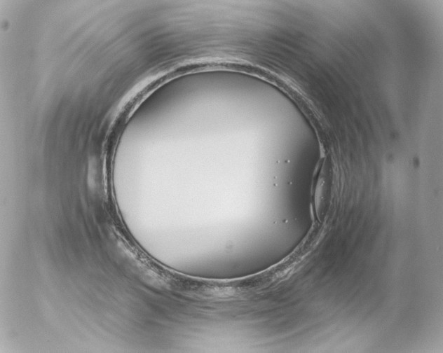 X0000052650982200507221837