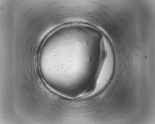 X0000052650983200507221837