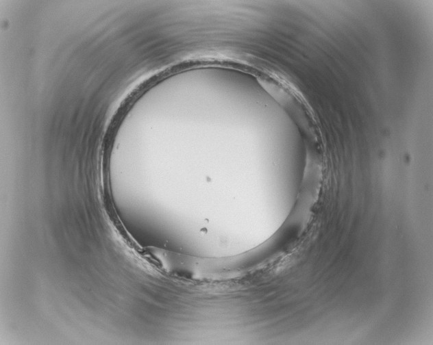 X0000052650984200507221837