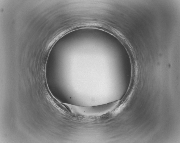 X0000052650985200507221837