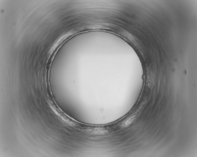 X0000052650986200507221837