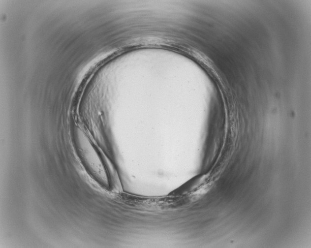 X0000052650987200507221837