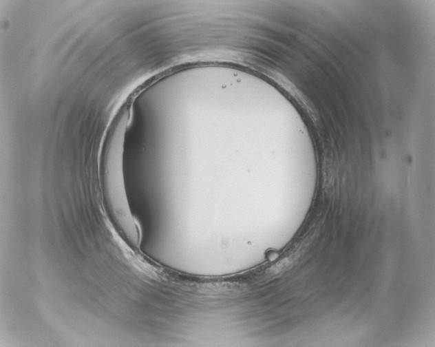 X0000052650988200507221837