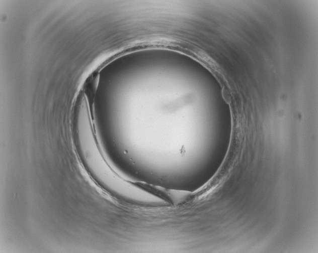 X0000052650989200507221837