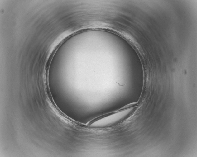 X0000052650990200507221837