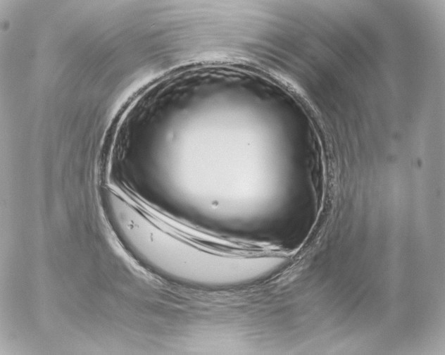 X0000052650991200507221837