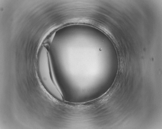 X0000052650992200507221837