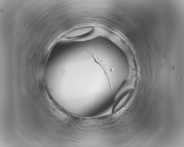 X0000052650993200507221837