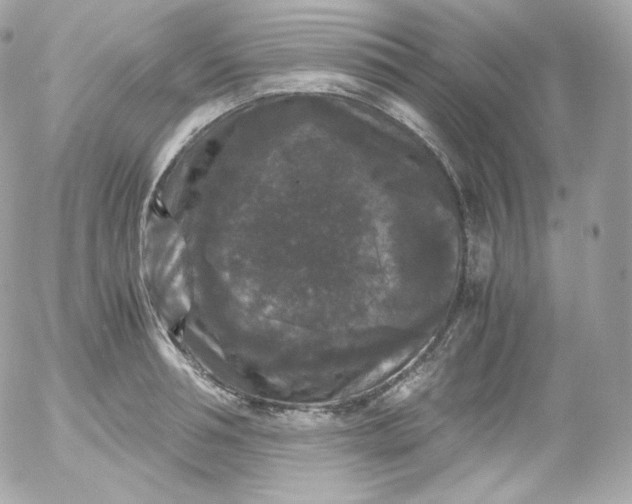 X0000052650994200507221837