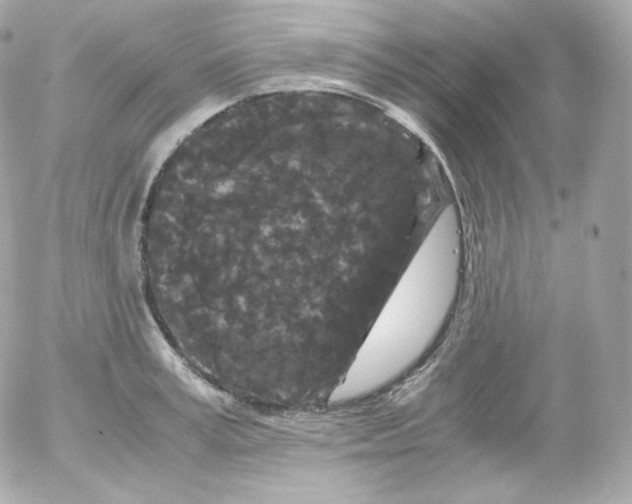 X0000052650995200507221837