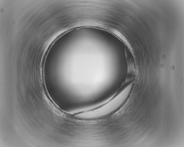 X0000052650996200507221837