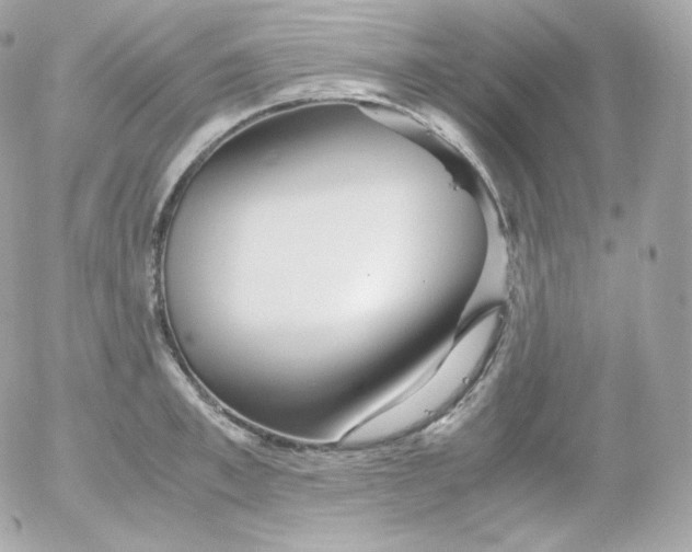 X0000052650997200507221837