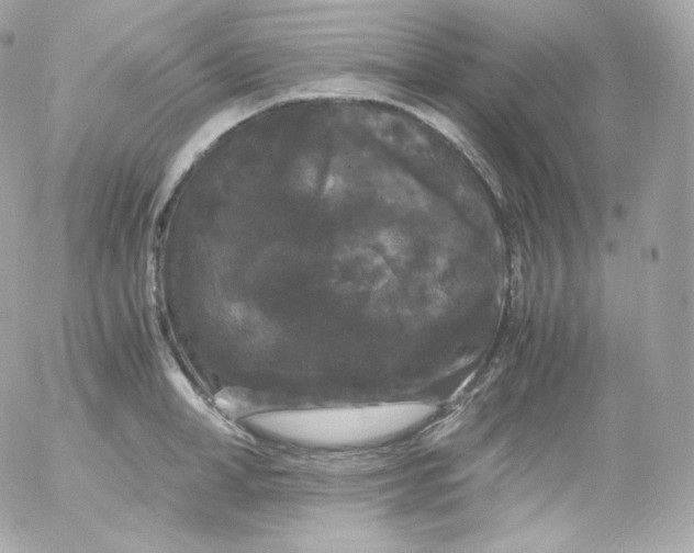 X0000052650998200507221837