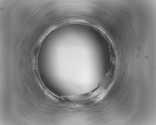 X0000052651001200507221837