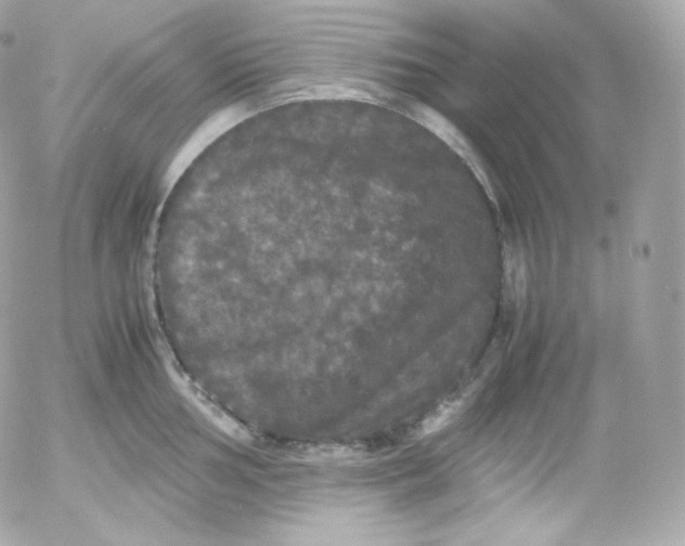 X0000052651002200507221837