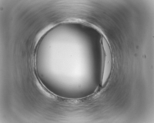 X0000052651003200507221837