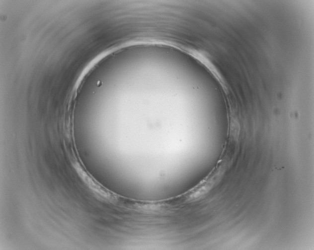 X0000052651004200507221837