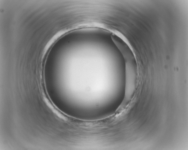 X0000052651005200507221837