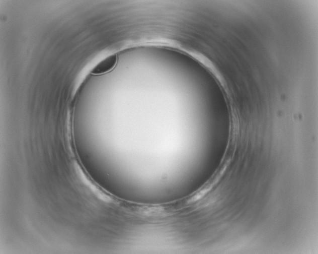 X0000052651006200507221837