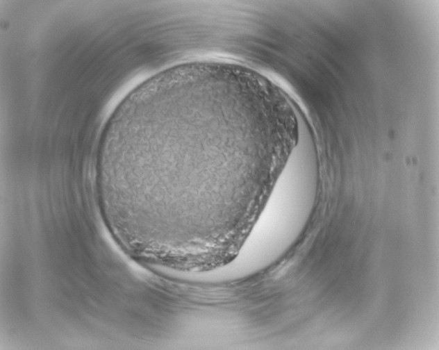 X0000052651007200507221837