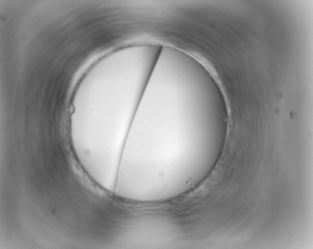 X0000052651008200507221837