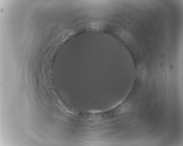 X0000052651009200507221836