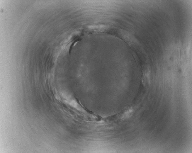 X0000052651010200507221836