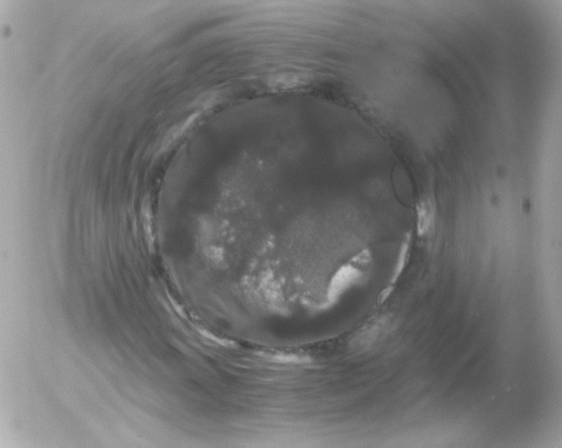 X0000052651011200507221836