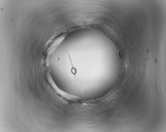 X0000052651012200507221836