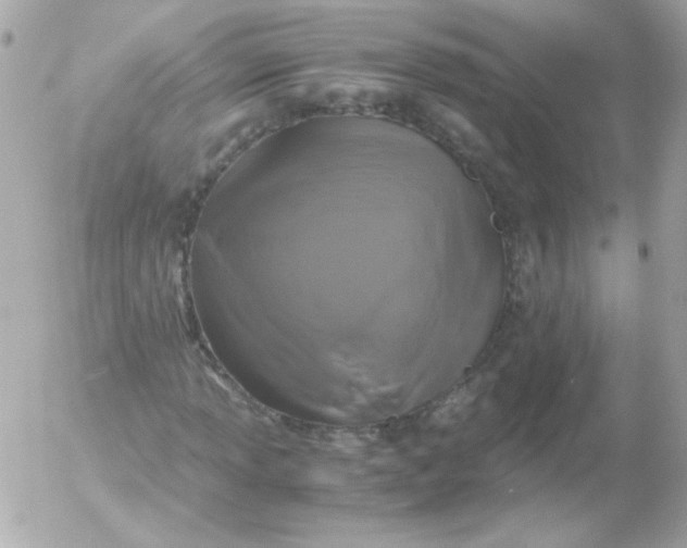 X0000052651013200507221836