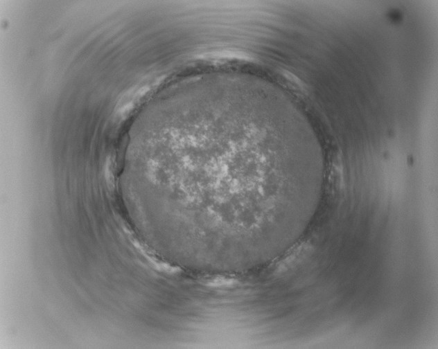 X0000052651014200507221836