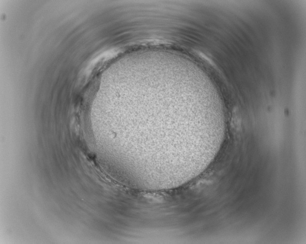 X0000052651015200507221836