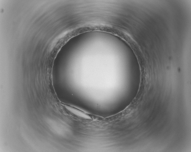 X0000052651016200507221836