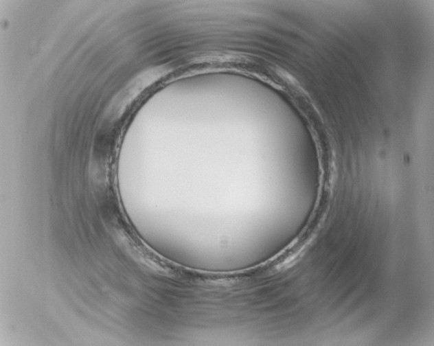 X0000052651017200507221836