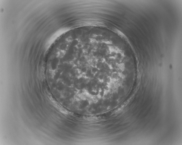 X0000052651019200507221836