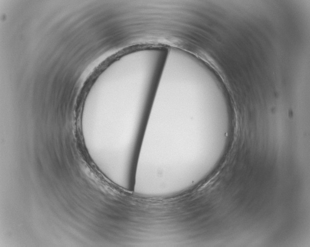 X0000052651020200507221836