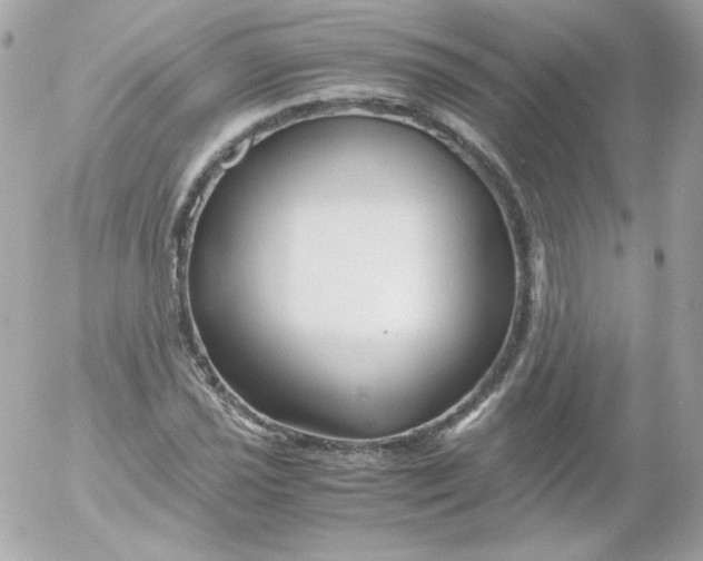 X0000052651021200507221836