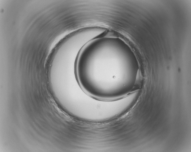 X0000052651022200507221836