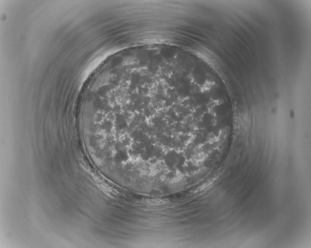 X0000052651023200507221836