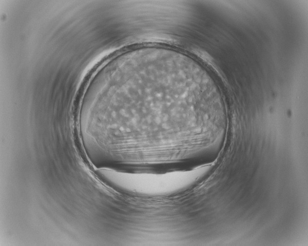 X0000052651024200507221836