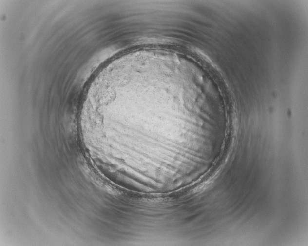 X0000052651025200507221836