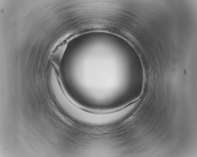 X0000052651026200507221836